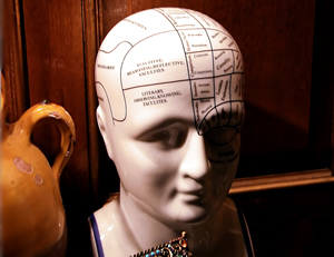 phrenology bust in wood panelled room